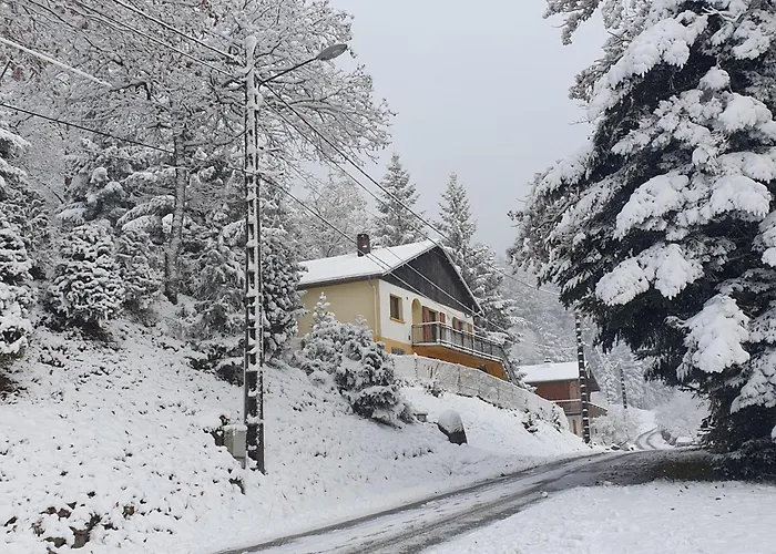 Maison Vosgienne Proche De La Bresse Et Gerardmer